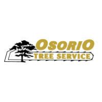 osorio tree service lagrangeville ny